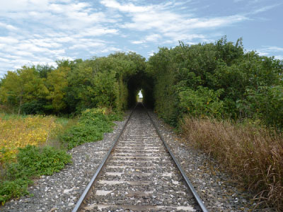 El Tunel Verde sobre las vías del tren en Coronel Bogado.